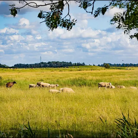 Muellershaus Glueck Zu Tetenbull