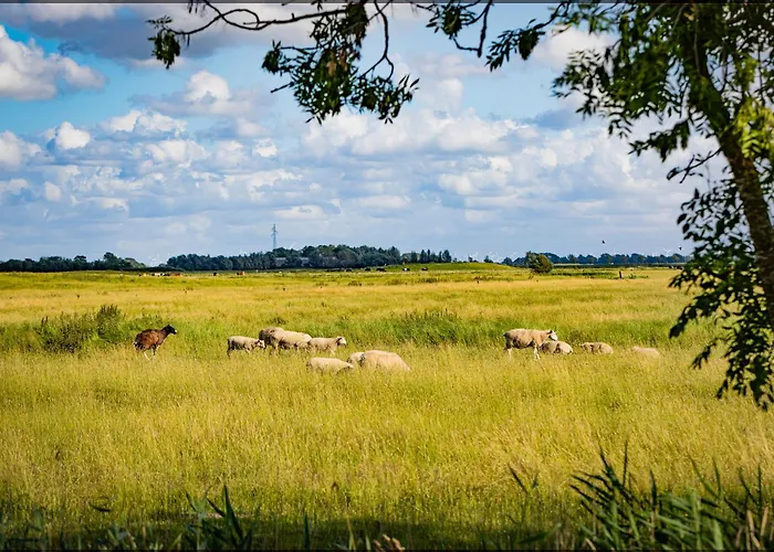 Muellershaus Glueck Zu Tetenbull